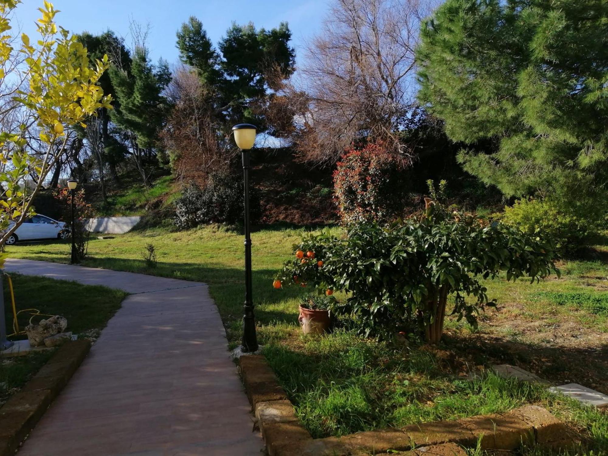 Le Tamerici B&B 안코나 외부 사진